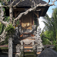 Photo de Bali - Balade, Garuda et spectacle